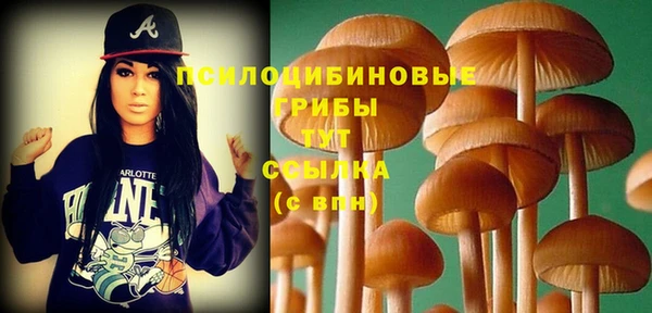 PSILOCYBIN Балахна